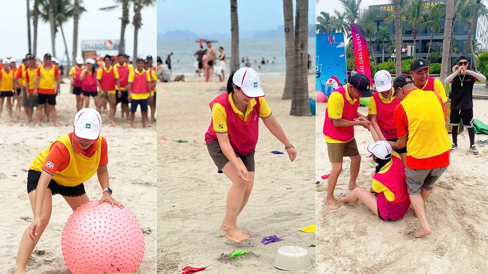 Hạ Long 2026: Kỳ nghỉ hè trong mơ | MICO GROUP Bứt phá vươn xa