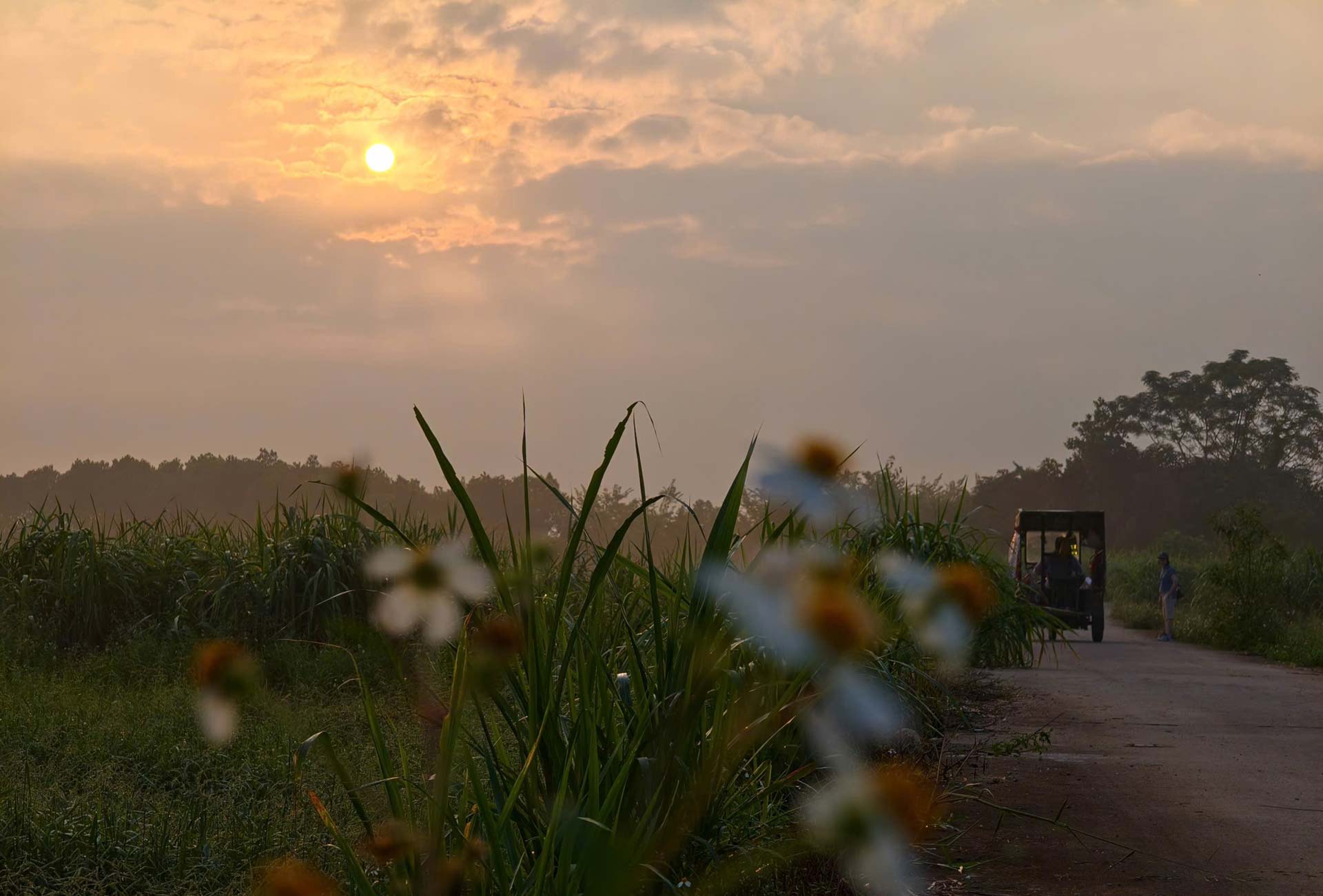 Tháng 10 – tháng của những yêu thương dịu ngọt | MICO GROUP